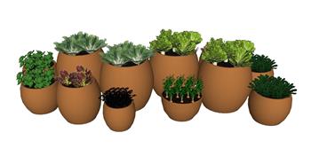 花盆植物蔬菜SU模型