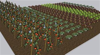 菜地农作物蔬菜SU模型