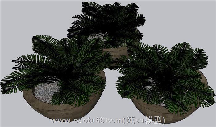 景观花盆植物SU模型