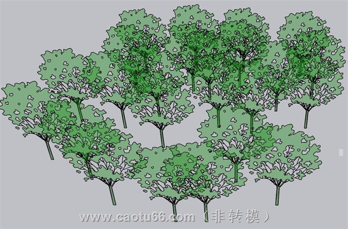2D树配景SU模型
