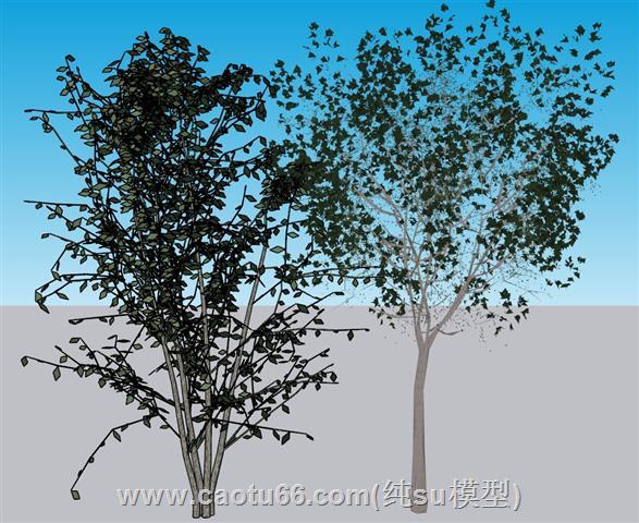 景观树树木配景SU模型
