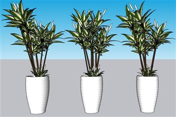 盆景花盆植物SU模型