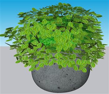 花盆盆景SU模型