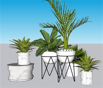 花盆盆景植物SU模型