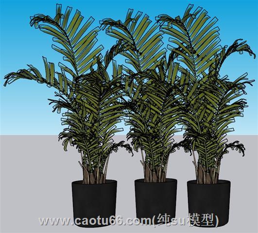 花盆盆景摆件SU模型