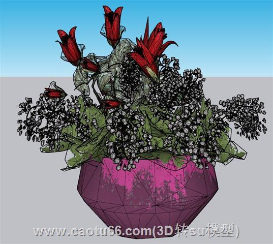 花盆植物SU模型