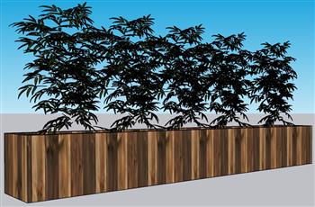 庭院竹子植物SU模型