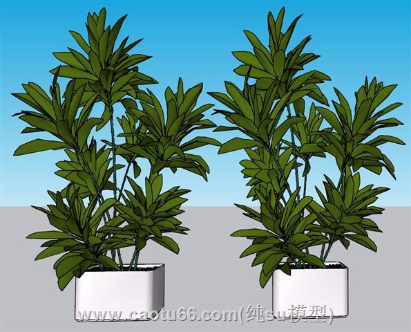 花盆盆景植物SU模型