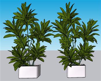 花盆盆景植物SU模型