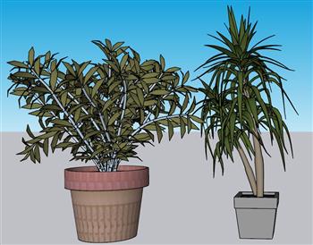 花盆植物盆栽SU模型 免费sketchup模型下载