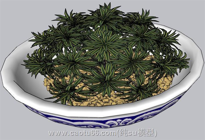 青花瓷花盆植物SU模型