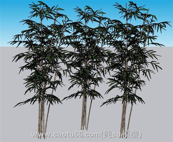 竹子竹林SU模型