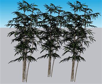 竹子竹林SU模型