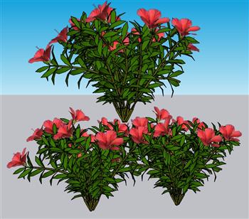 灌木花草植物SU模型