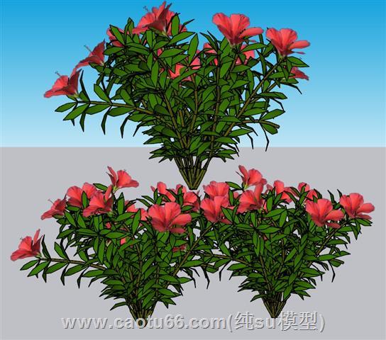 灌木花草植物SU模型