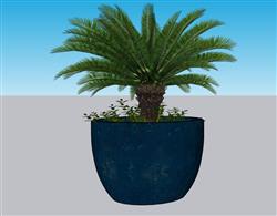 植物花盆盆景SU模型