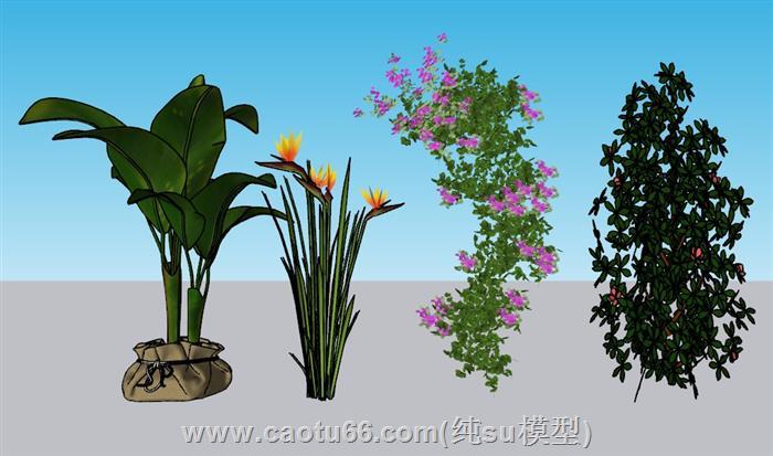 盆栽植物灌木SU模型