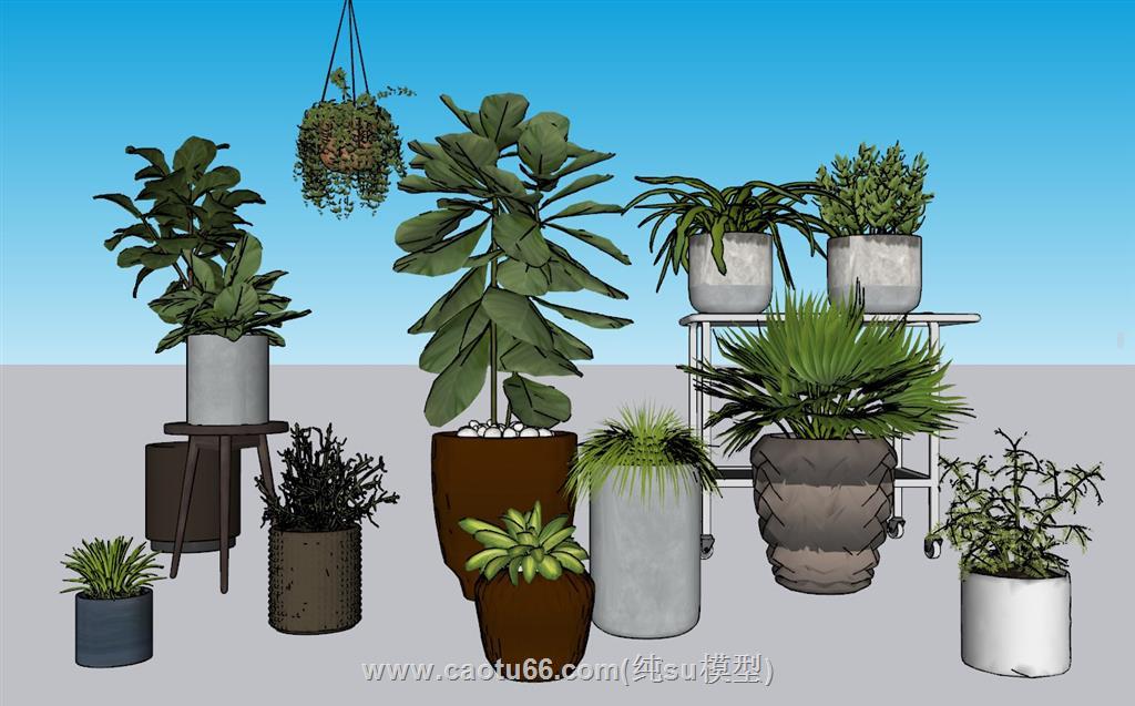 植物花盆吊篮SU模型