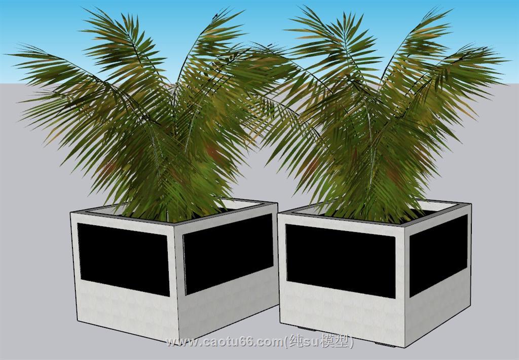 花盆盆景植物SU模型