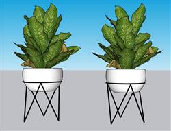 花盆植物SU模型