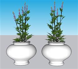 花盆盆景植物SU模型