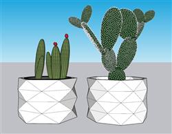 花盆仙人掌SU模型