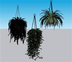 吊篮植物装饰SU模型