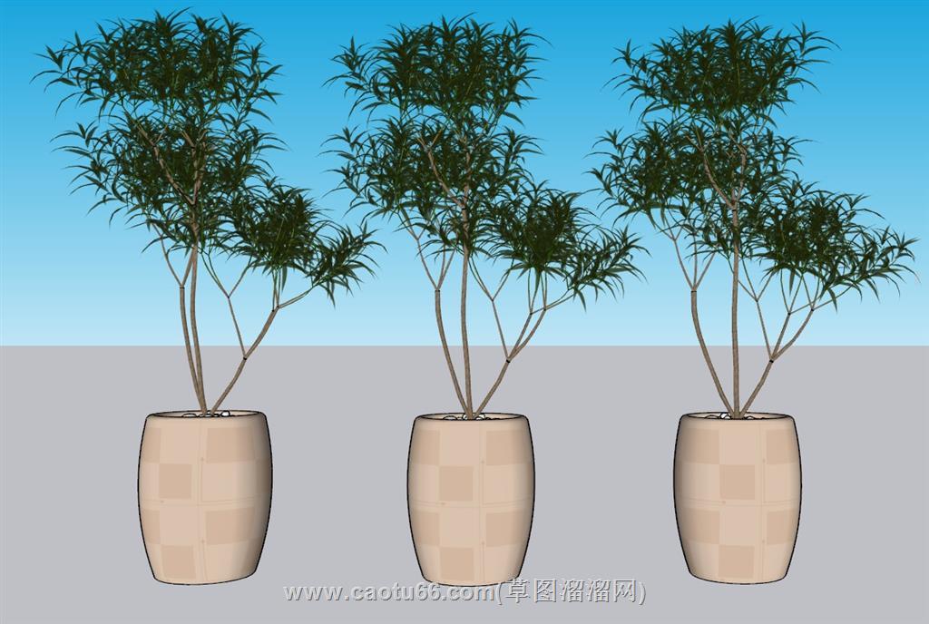 花盆植物SU模型