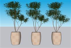 花盆植物SU模型