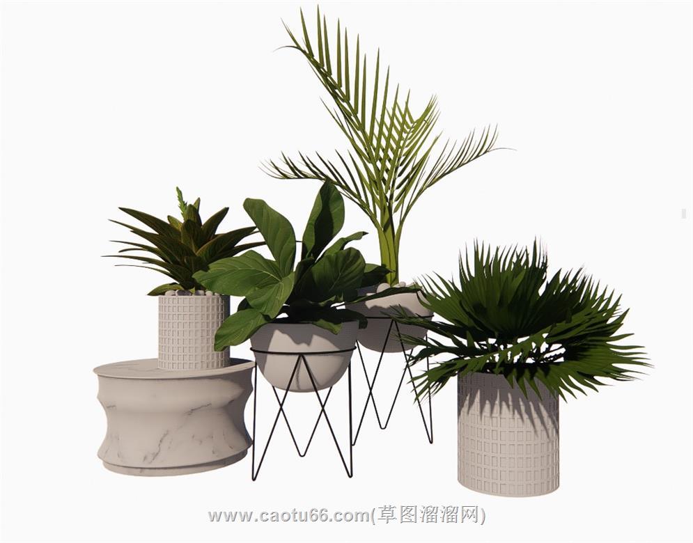 花盆植物盆景SU模型