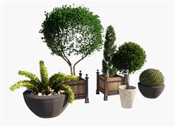 盆景绿植花盆SU模型