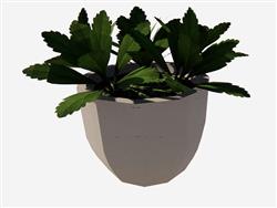 花盆植物SU模型