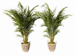 藤制植物花盆SU模型