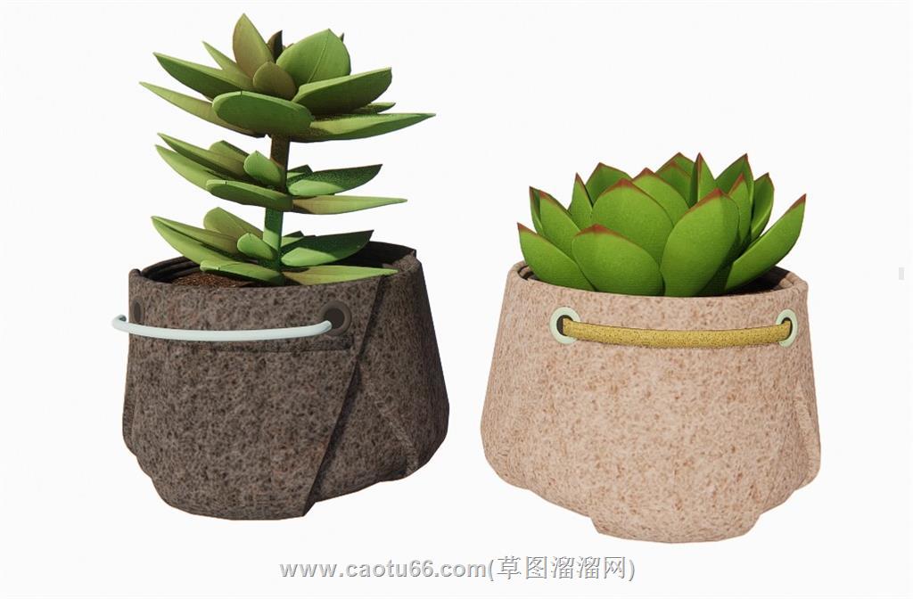多肉花盆植物SU模型
