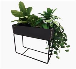 花盆植物SU模型