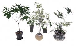 花盆植物SU模型