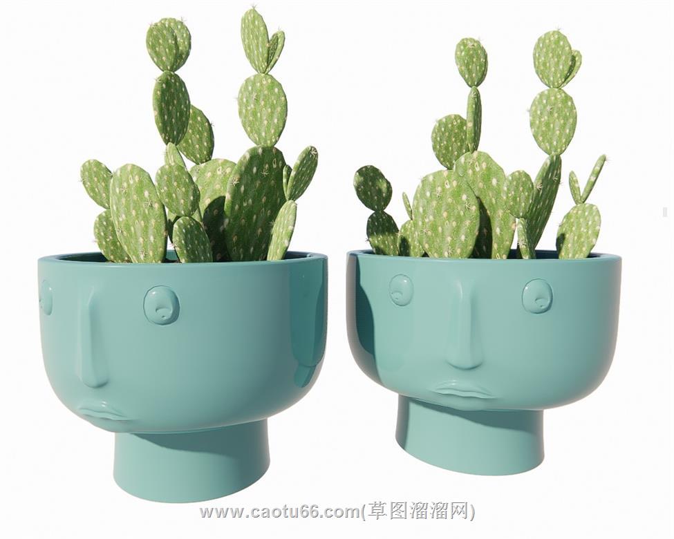 仙人掌花盆SU模型