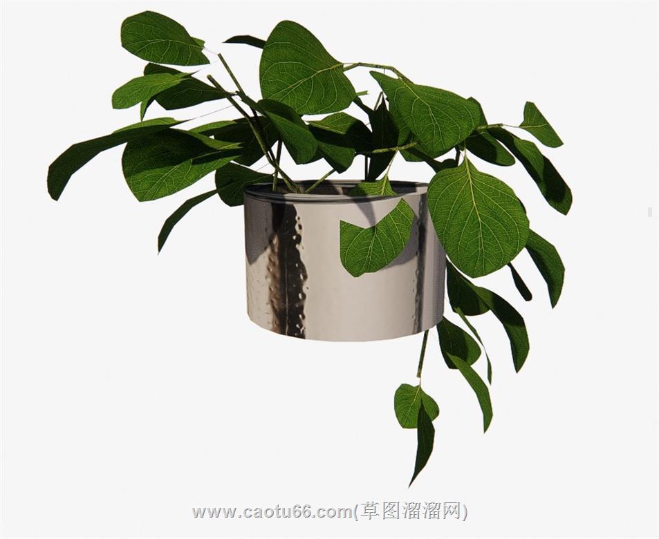 绿萝植物花盆SU模型