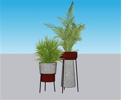 花盆盆栽植物SU模型