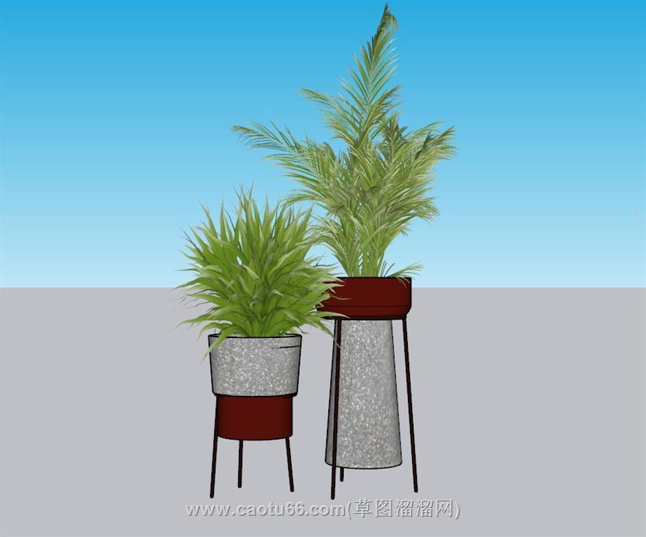 花盆盆栽植物SU模型