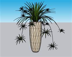 花盆植物SU模型