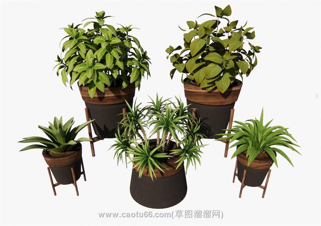 花盆植物SU模型
