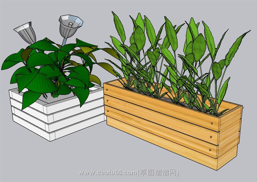 花箱植物SU模型