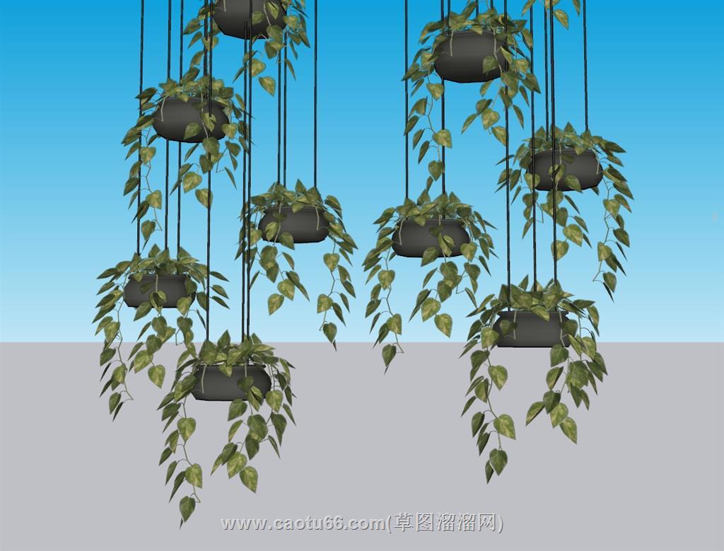 吊篮植物SU模型