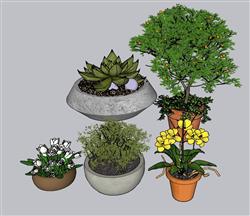 花盆植物SU模型