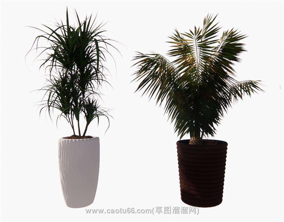 盆栽花盆SU模型