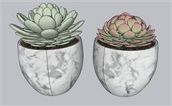 花盆多肉植物SU模型