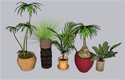 花盆盆景植物SU模型