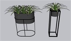 花几花盆植物SU模型