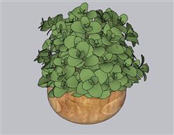 花盆植物SU模型